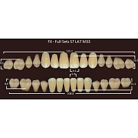 FX зубы акриловые двухслойные, полный гарнитур (28 шт.) на планке, D4, S7/LA7/M33