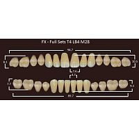 FX зубы акриловые двухслойные, полный гарнитур (28 шт.) на планке, A1, T4/LB4/M28