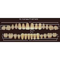 FX зубы акриловые двухслойные, полный гарнитур (28 шт.) на планке, C1, T7/LB7/M33